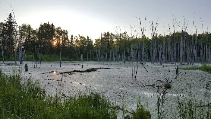Fox Farm Pond Camp Picture 3
