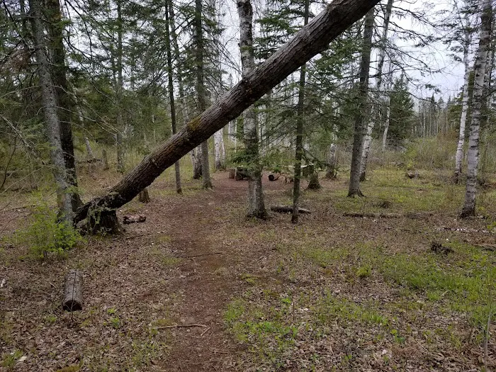 Fox Farm Pond Camp Picture 4