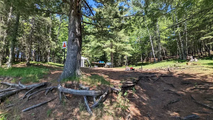 Island Lake Campsite #1 Picture 3