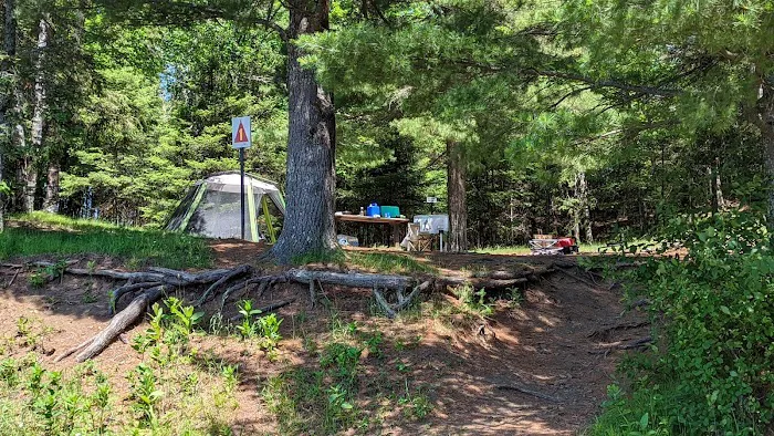 Island Lake Campsite #1 Picture 6