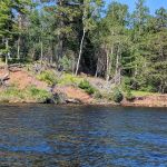Island Lake Campsite #6