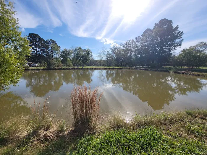 RED DIRT RETREAT- RV & Campground (formerly Twin Oaks RV Park) Picture 6