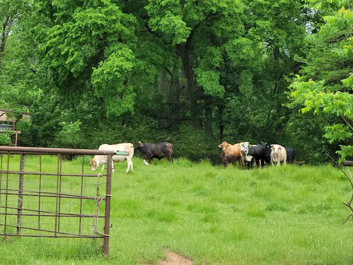 RED DIRT RETREAT- RV & Campground (formerly Twin Oaks RV Park) Picture 9