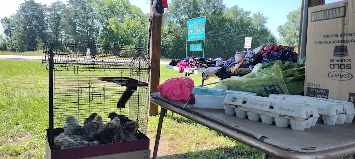 Frontier RV Camp Ground Picture 2