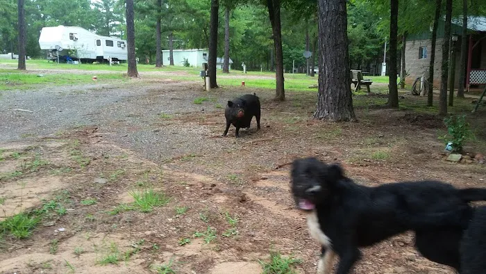 Shady Pines RV Park Picture 6