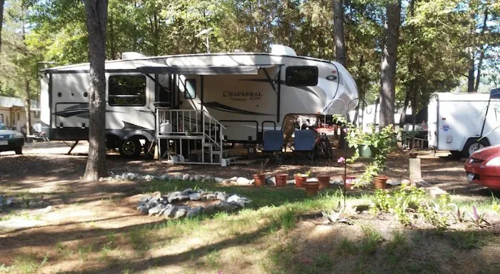 Shady Pines RV Park Picture 1