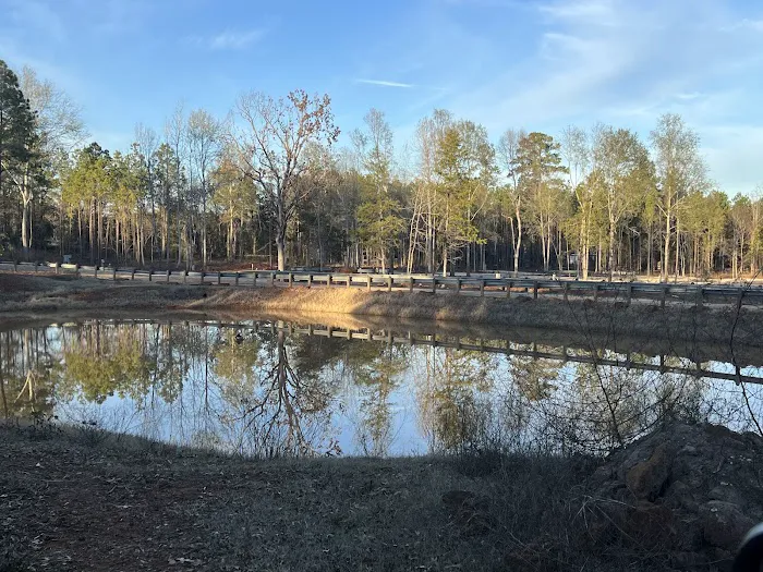 Shady Pines RV Park Picture 3