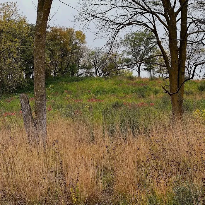 Arrowhead Park Picture 7