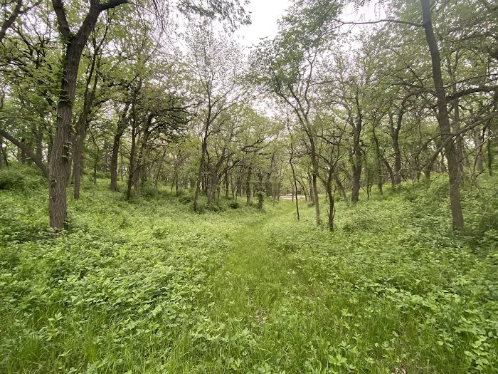 Arrowhead Park Picture 5