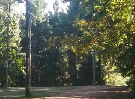 Mt Vernon RV Park