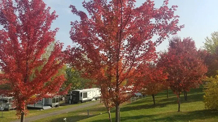 Morning Star Resort Campground Picture 5