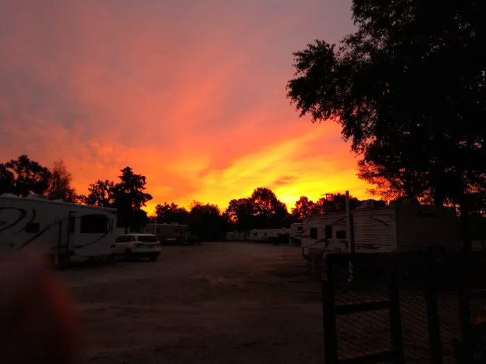 Shady S RV Park Picture 2