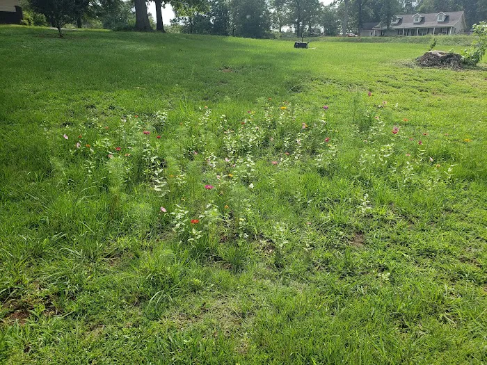 Countryside RV Park Picture 3