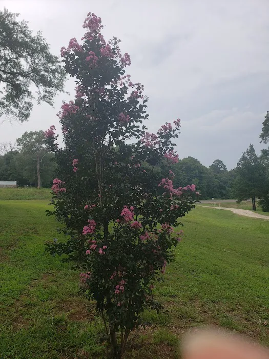 Countryside RV Park Picture 9