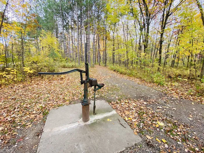 GROUP CAMPGROUND Picture 5