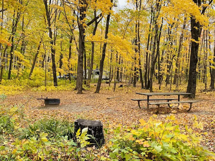 Maple Grove Campground Picture 3