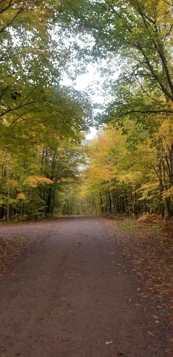 Maple Grove Campground Picture 5