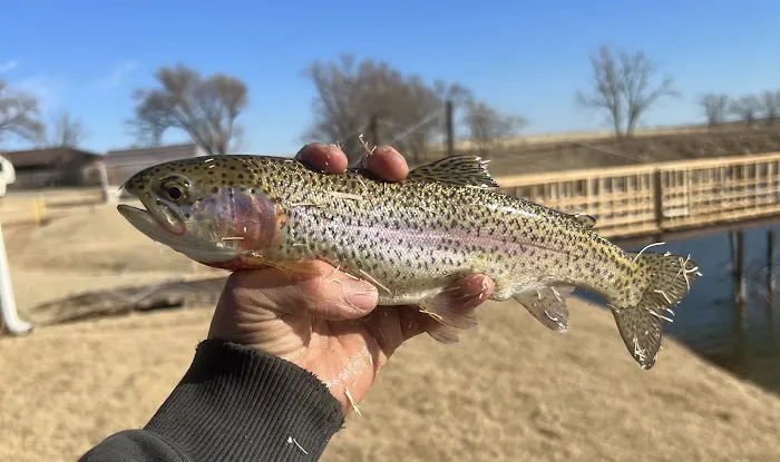 Hillwilliam Farms Fishing & RV Adventures Picture 7