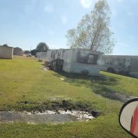 Audubon Acres ico