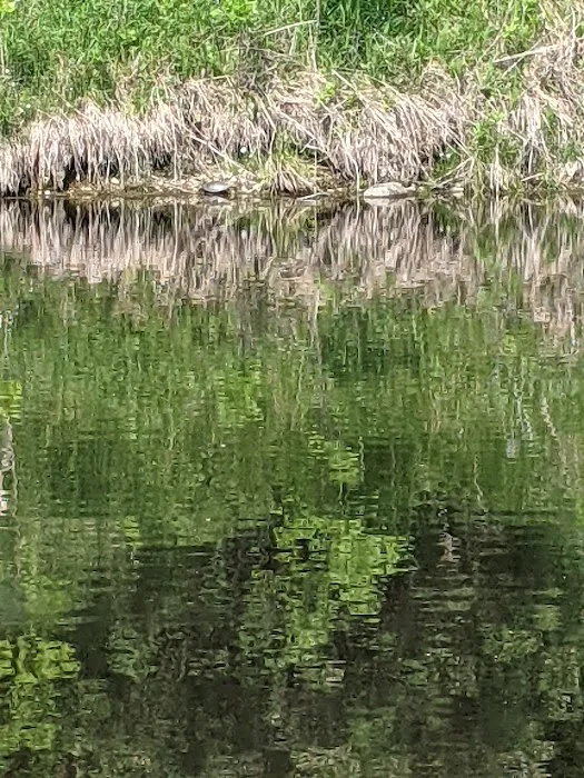 Rock River Park and Campground Picture 7