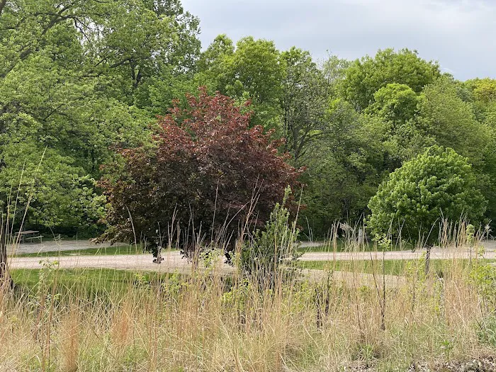Southwood Conservation Area Campround Picture 2