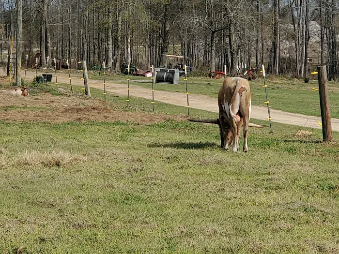 A-ok Campground Picture 6