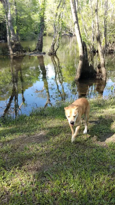Holmes Creek Camping & RV Resort Picture 10