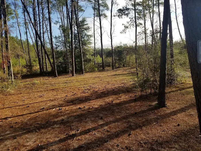 Pine Ridge Equestrian Trail Picture 9