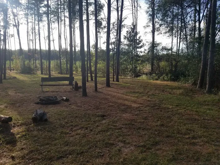 Pine Ridge Equestrian Trail Picture 5