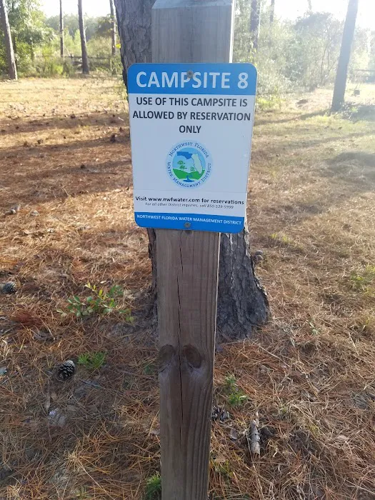 Pine Ridge Equestrian Trail Picture 6