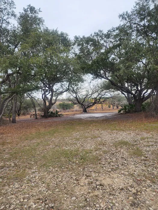 Sparkleberry Pond Picture 4