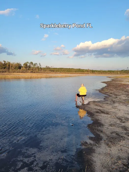 Sparkleberry Pond Picture 1