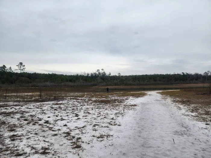 Sparkleberry Pond Picture 7