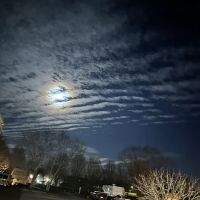 Evangeline Downs RV Park ico