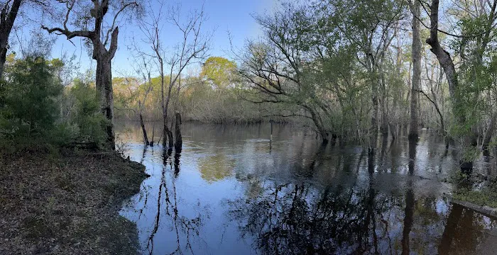 Mack Landing Campground Picture 4