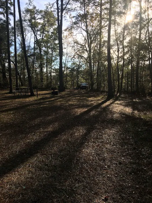 Mack Landing Campground Picture 3