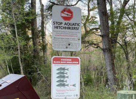 Mack Landing Campground