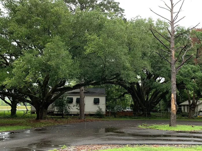 Evangeline Oaks RV Park - Opelousas Picture 8