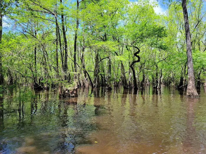 Hitchcock Lake Campground Picture 4