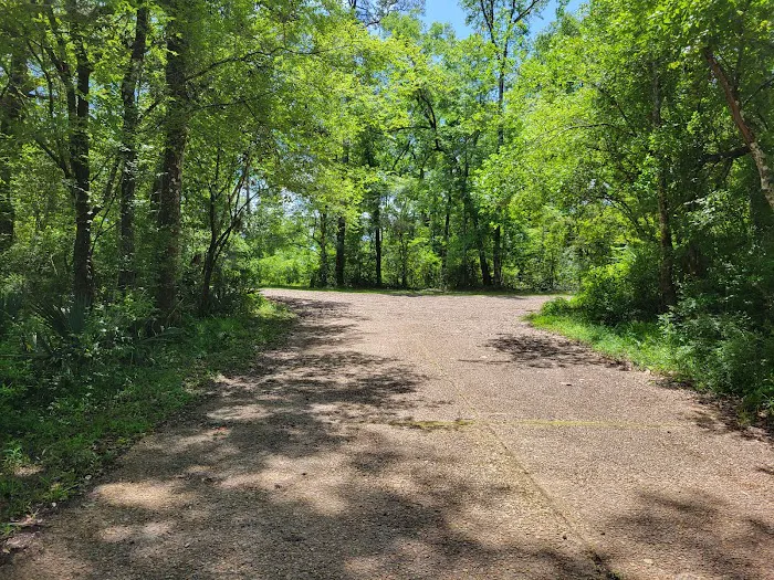 Hitchcock Lake Campground Picture 7