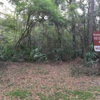 Wood Lake Recreation Area/Campground ico