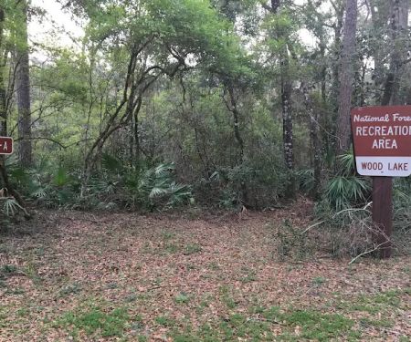 Wood Lake Recreation Area/Campground