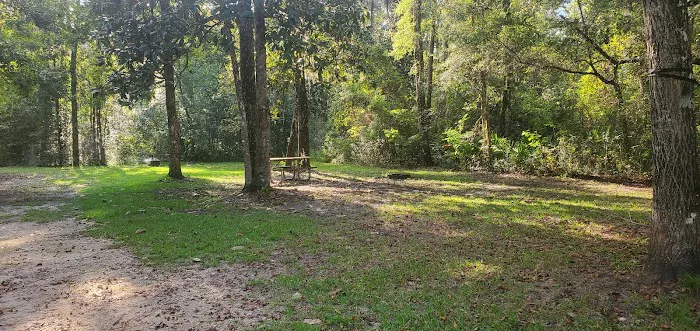 Wood Lake Recreation Area/Campground Picture 2