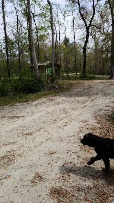 County Line OHV Campground Picture 7