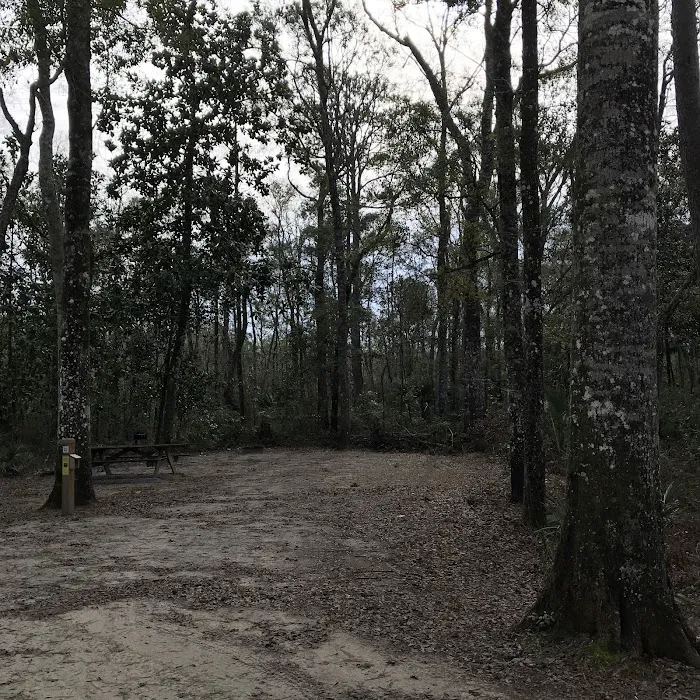 County Line OHV Campground Picture 4