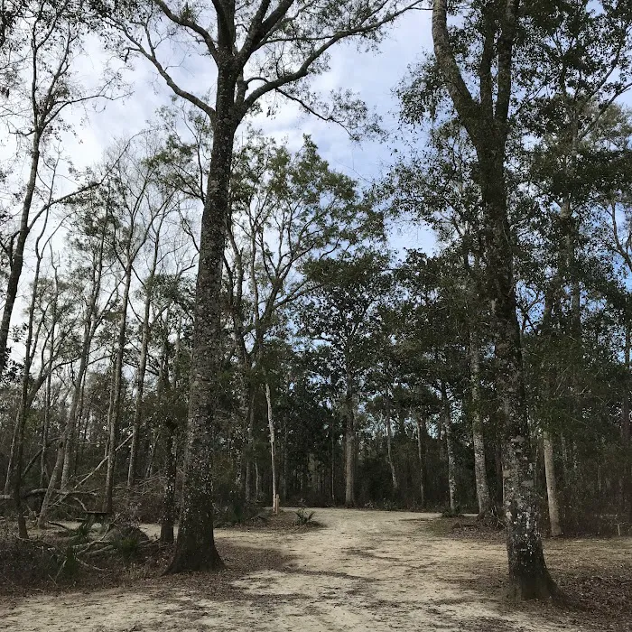 County Line OHV Campground Picture 5