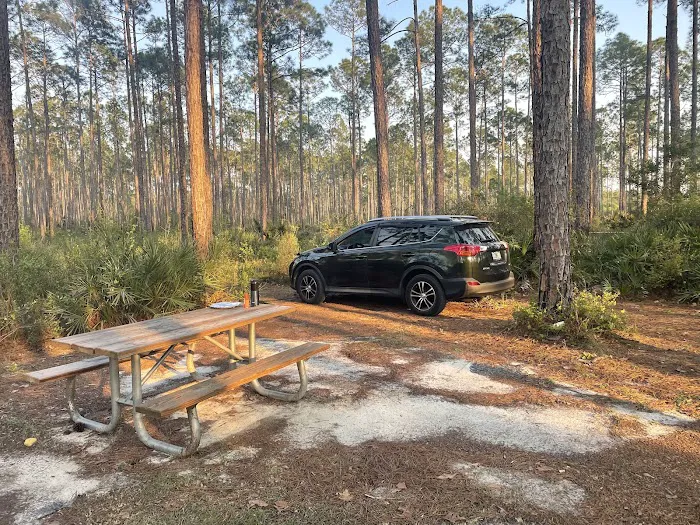 Womack Creek Campground Picture 3