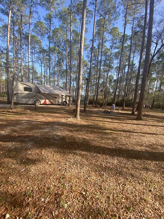 Womack Creek Campground Picture 2