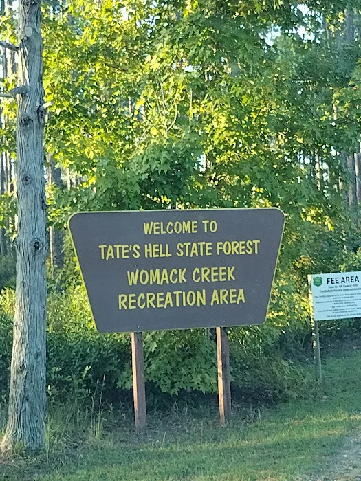 Womack Creek Campground Picture 6
