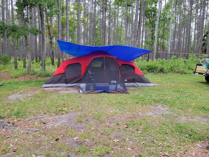 Womack Creek Campground Picture 10